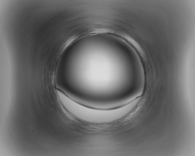 X0000115561193200911131620