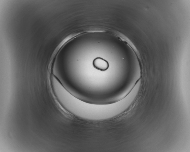 X0000115561195200911131620