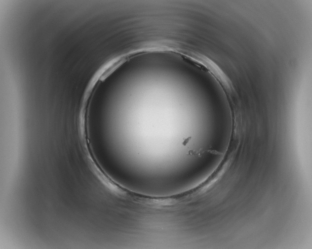 X0000115561196200911131620