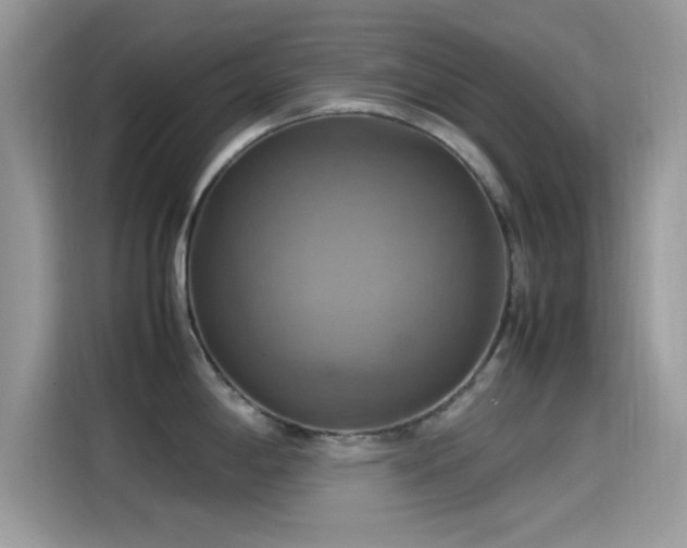 X0000115561198200911131620