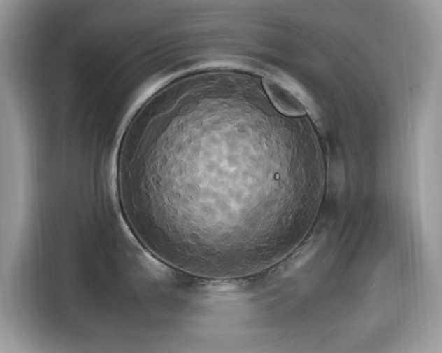 X0000115561199200911131620