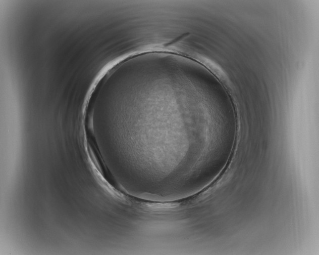 X0000115561200200911131620
