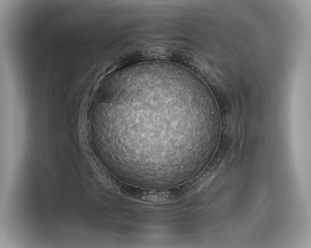 X0000115561201200911131619
