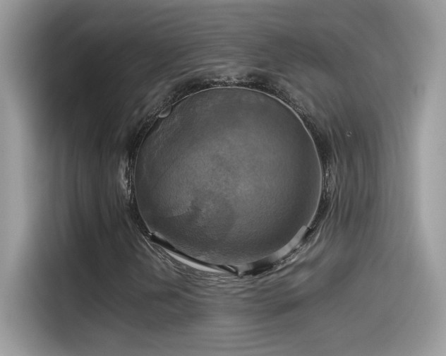 X0000115561202200911131619