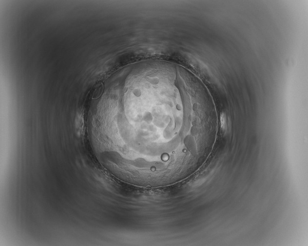 X0000115561203200911131619
