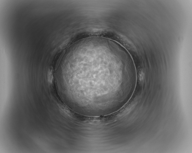 X0000115561204200911131619