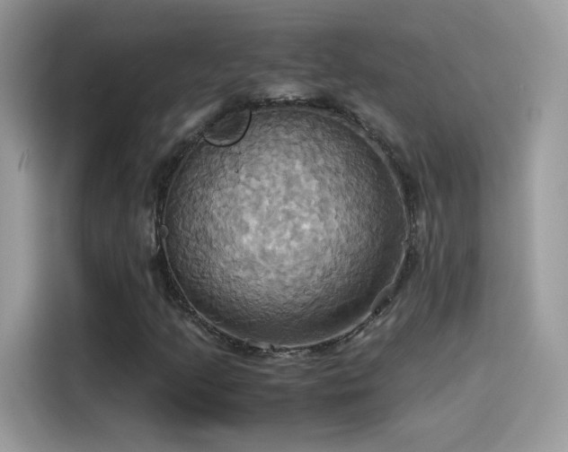 X0000115561205200911131619
