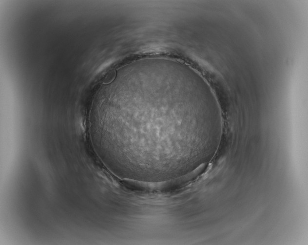 X0000115561206200911131619