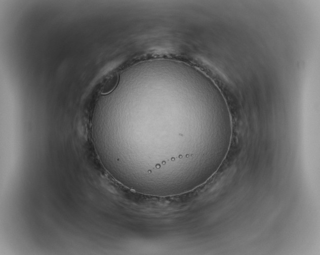 X0000115561207200911131619