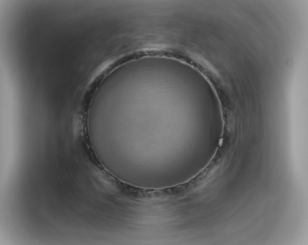 X0000115561208200911131619