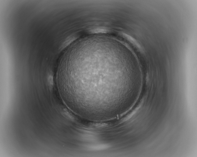 X0000115561209200911131620