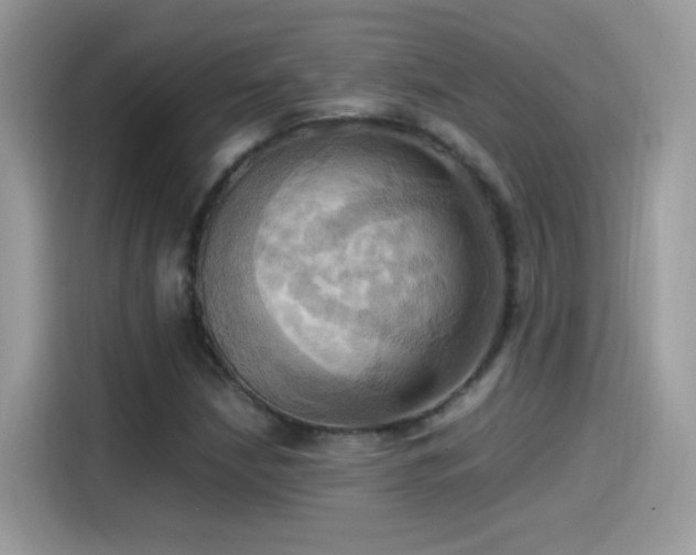 X0000115561210200911131620