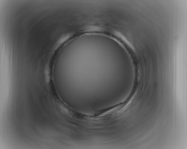 X0000115561213200911131620