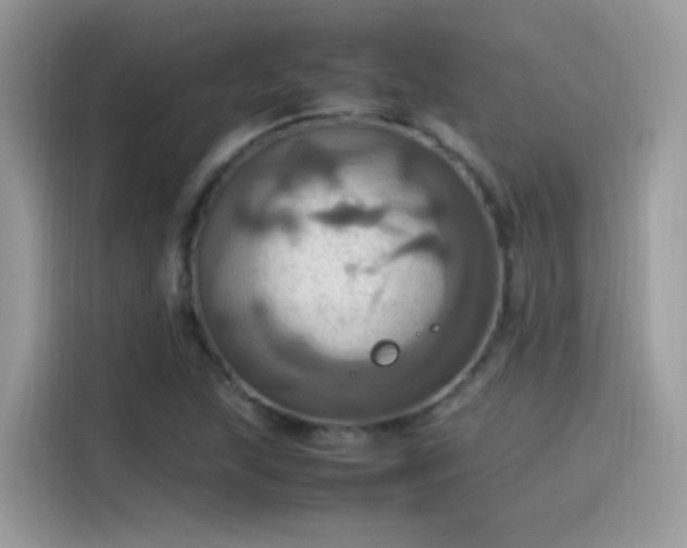 X0000115561215200911131620