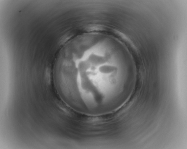 X0000115561217200911131620