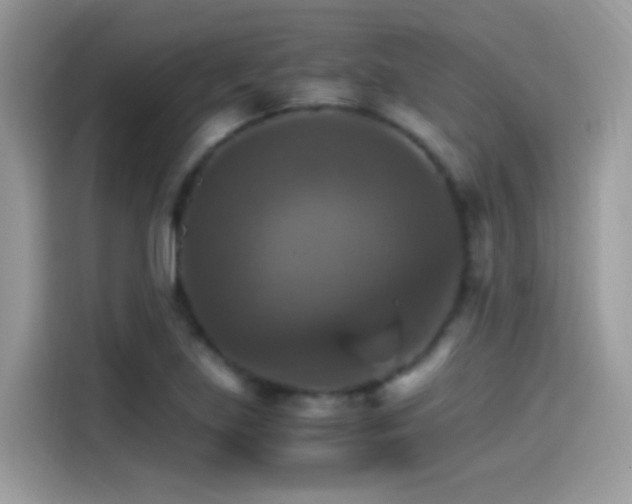 X0000115561219200911131620