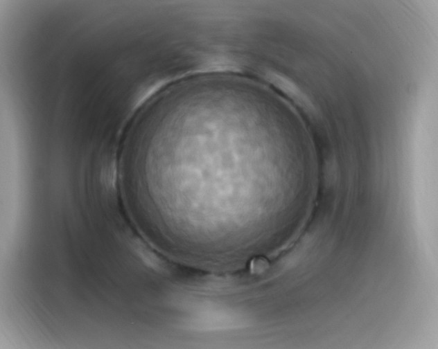 X0000115561220200911131620