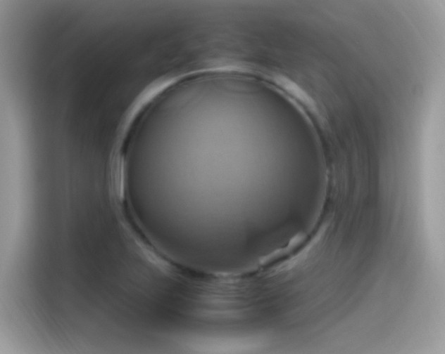 X0000115561223200911131620