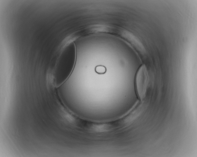X0000115561225200911131620