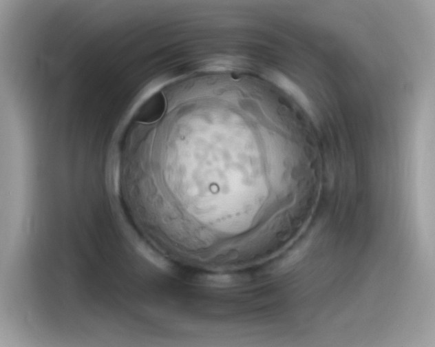 X0000115561227200911131620