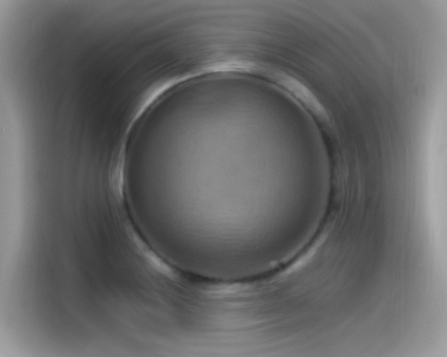 X0000115561228200911131620
