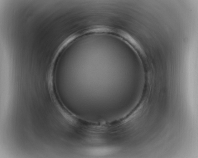 X0000115561229200911131620