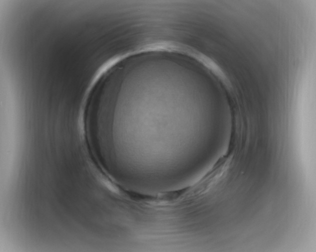 X0000115561230200911131620