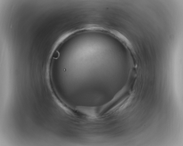 X0000115561231200911131620