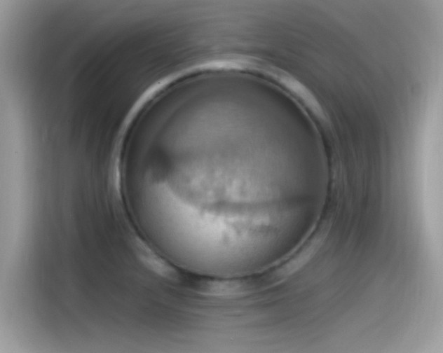 X0000115561232200911131620