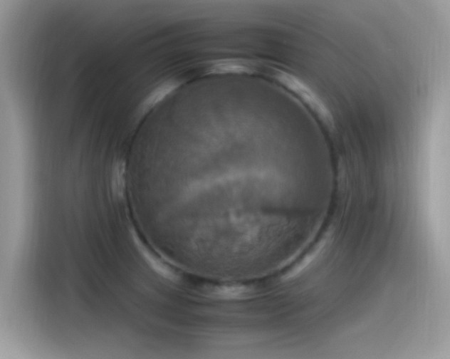 X0000115561233200911131620