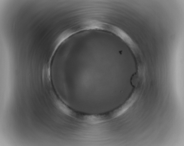 X0000115561234200911131620