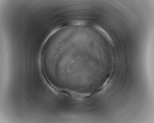 X0000115561235200911131620