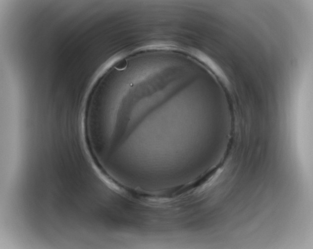 X0000115561237200911131620