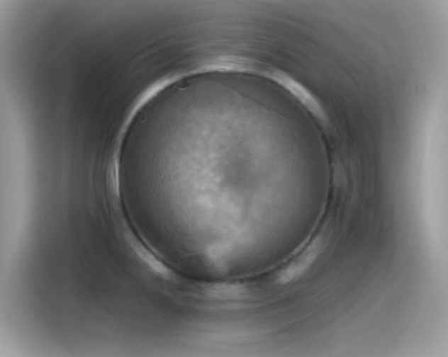 X0000115561238200911131620