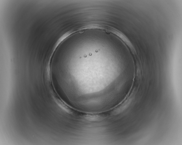 X0000115561242200911131620