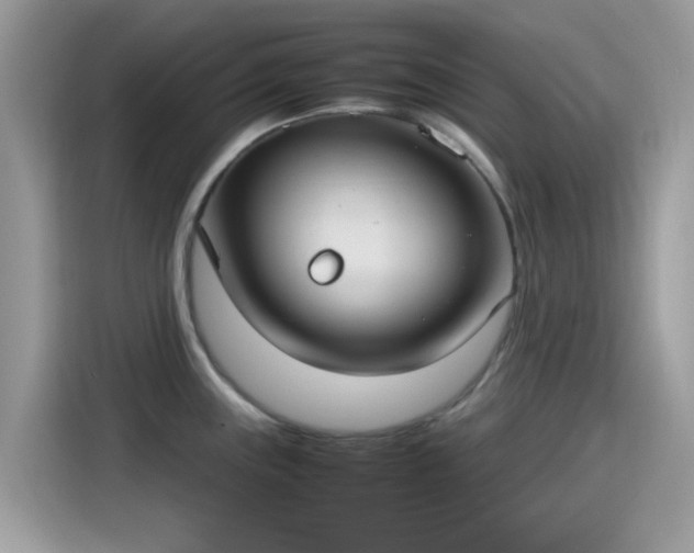 X0000115561243200911131620