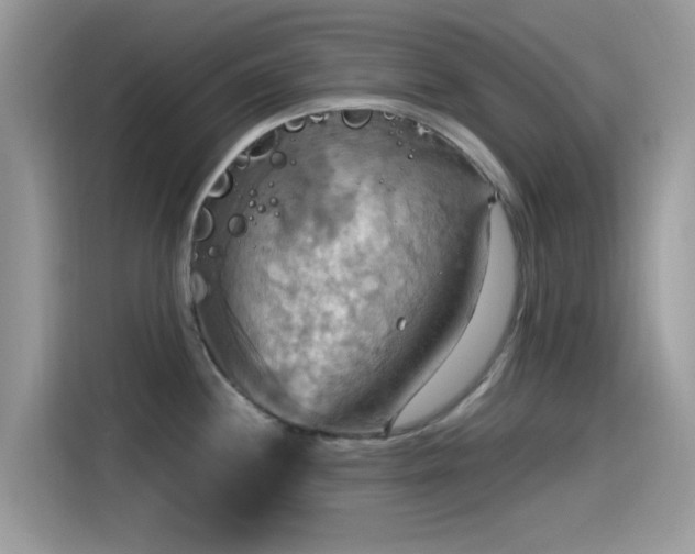 X0000115561244200911131620