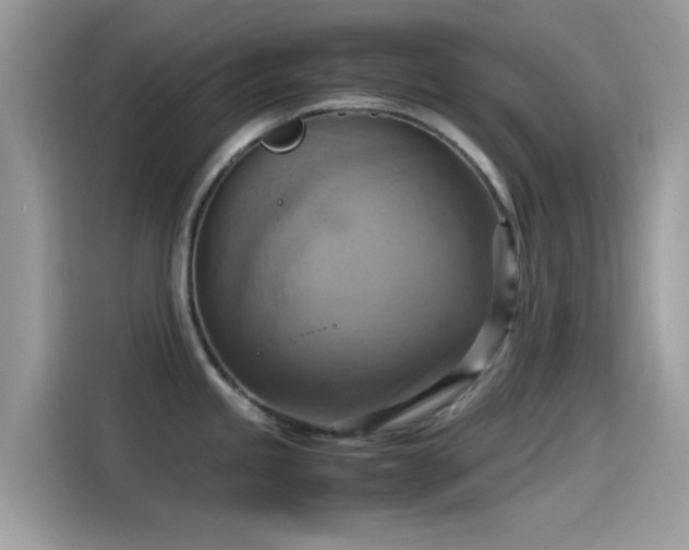 X0000115561245200911131620