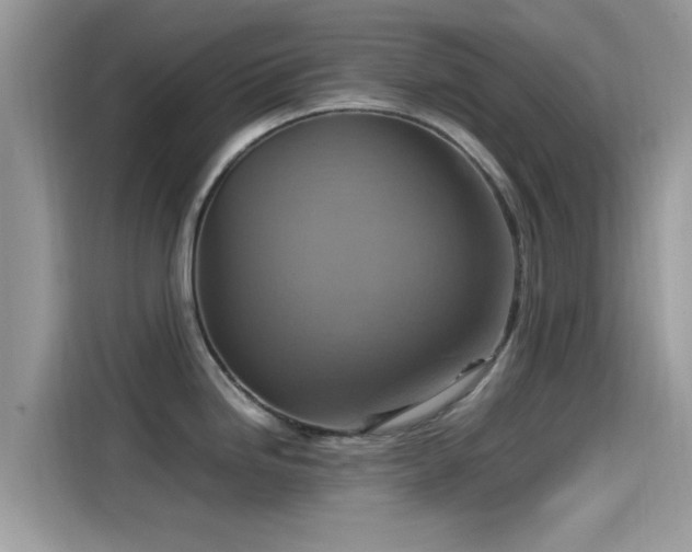 X0000115561246200911131620