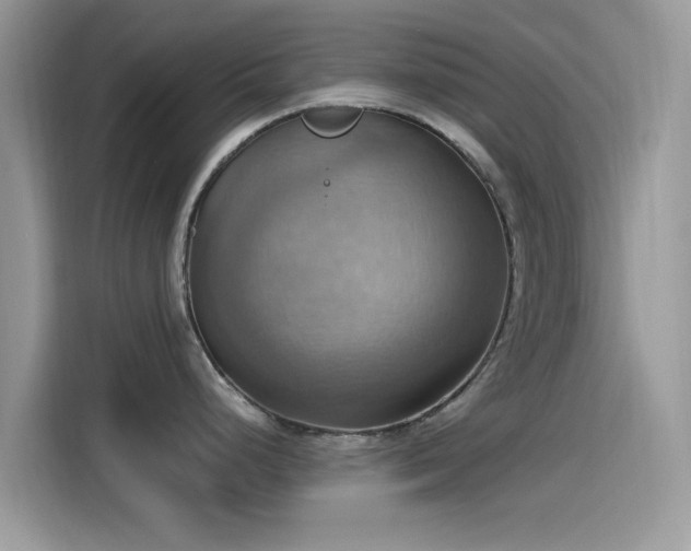 X0000115561248200911131620