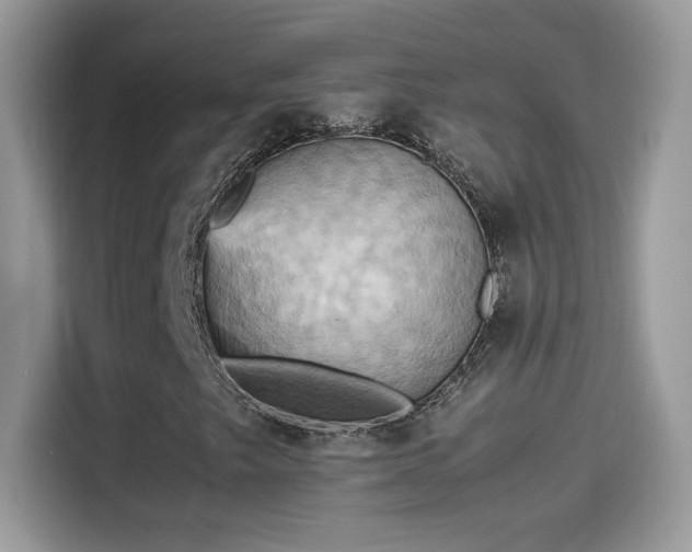 X0000115561249200911131619