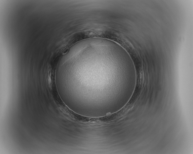 X0000115561250200911131619