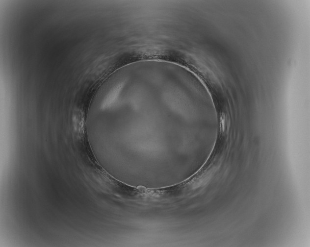 X0000115561251200911131619