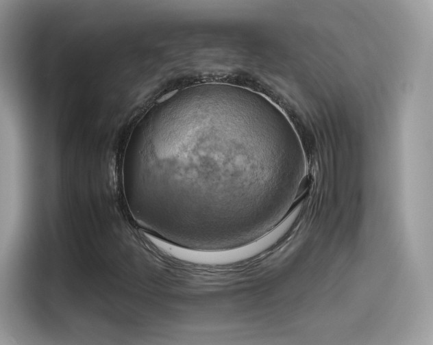 X0000115561252200911131619