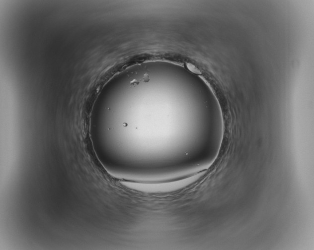 X0000115561253200911131619