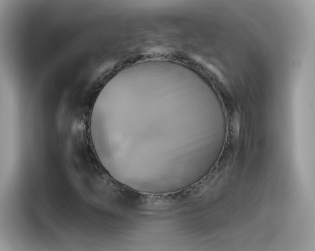 X0000115561254200911131619