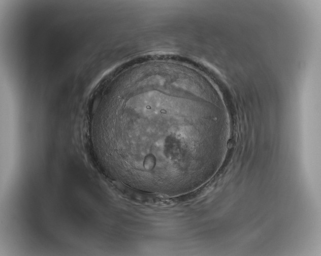 X0000115561255200911131619