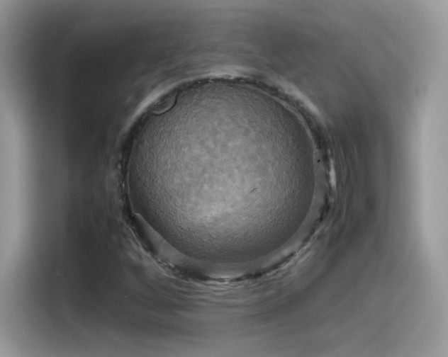 X0000115561256200911131619