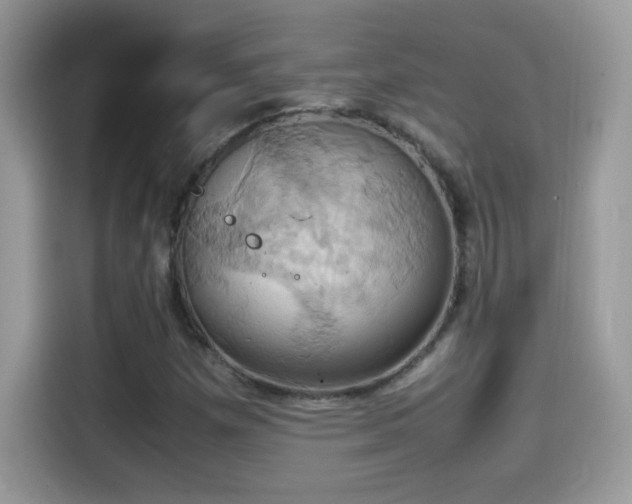X0000115561257200911131619