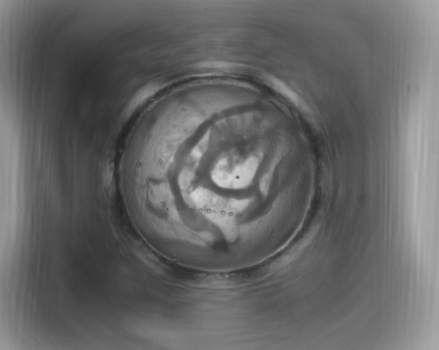 X0000115561259200911131619